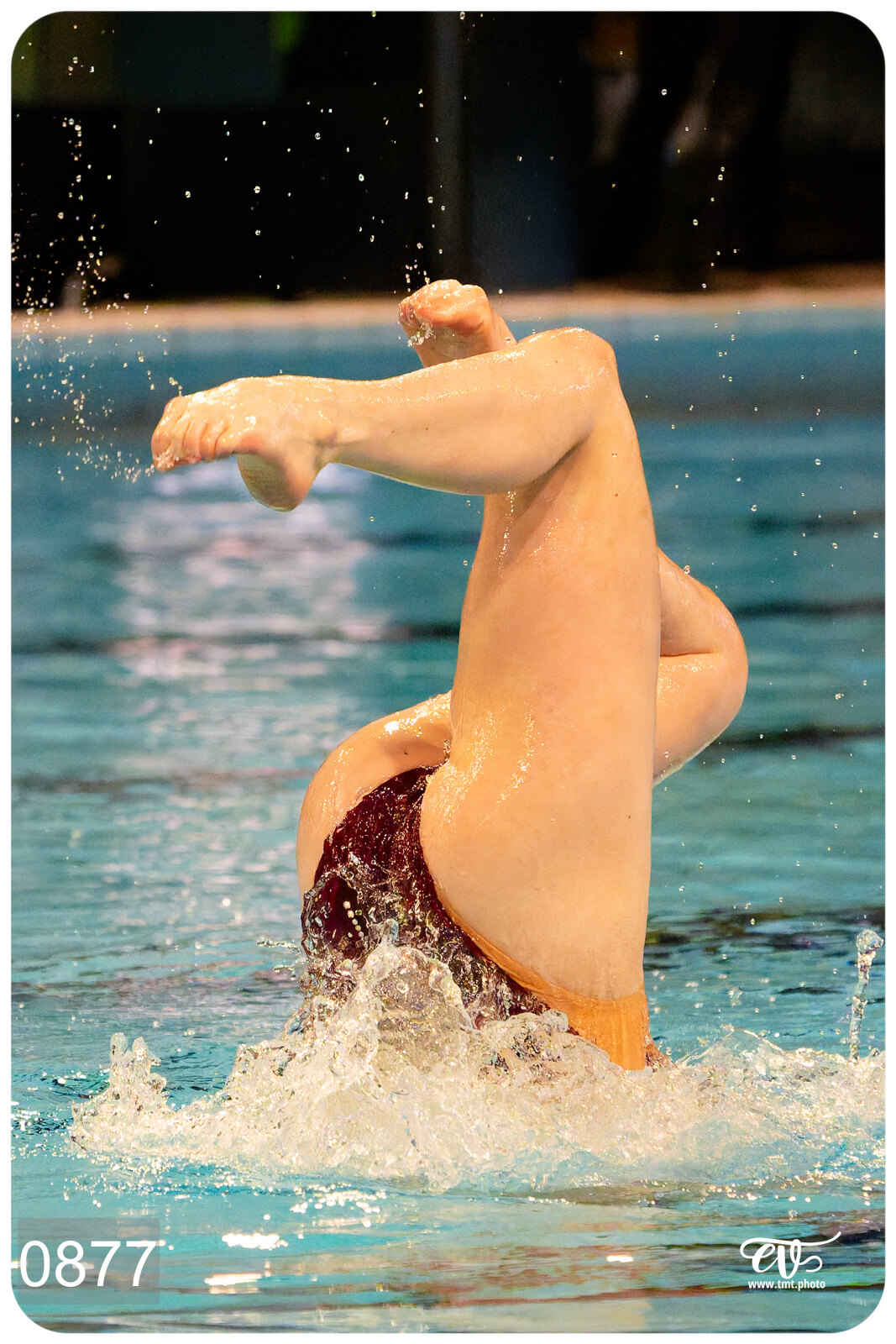 CHAMPIONNAT DE FRANCE DE NATATiON ARTISTIQUE N1 & ELITE 2026